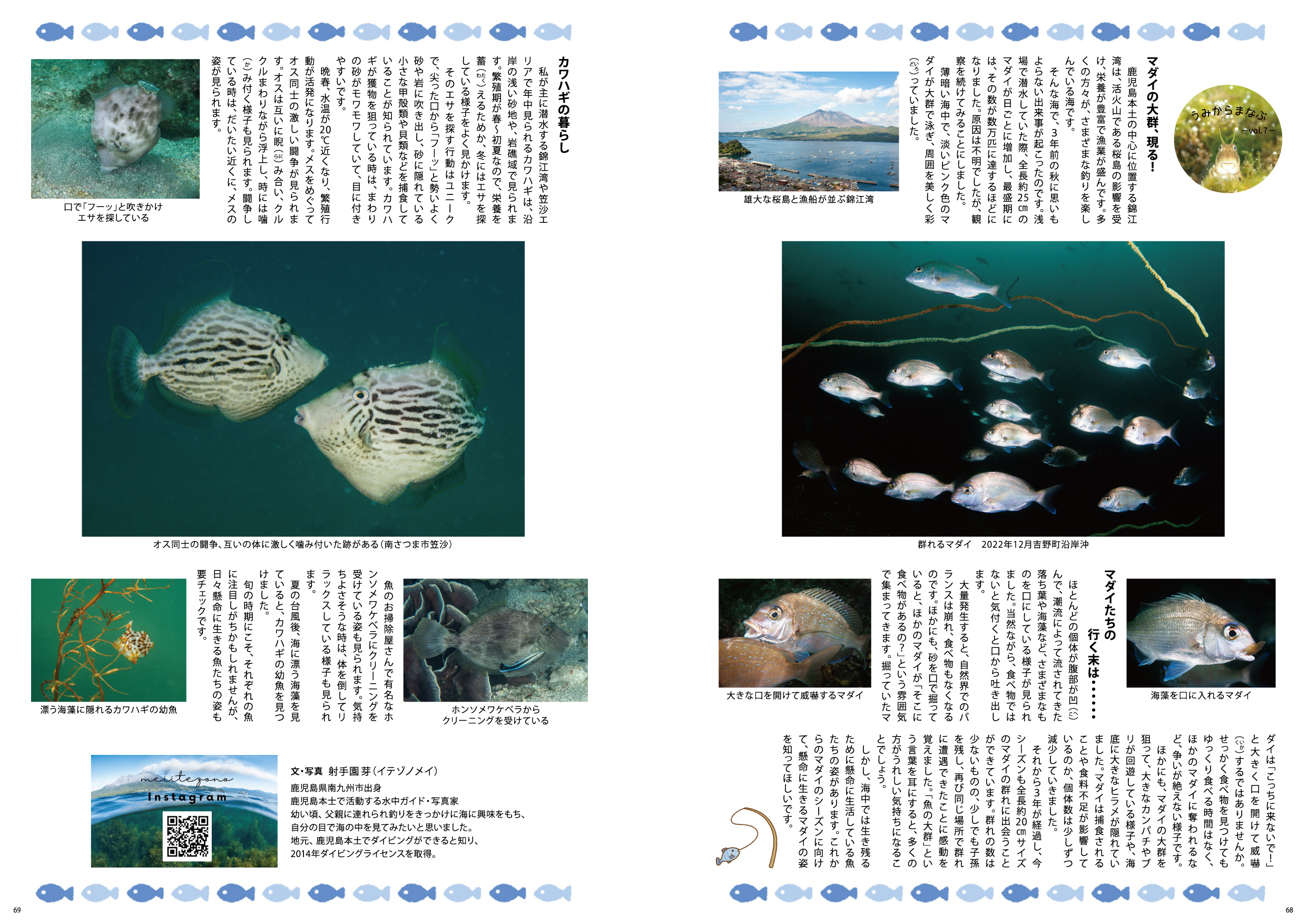 2025年3月号 海から学ぶVol 8 (文・写真 射手園芽) – 有限会社南のつり